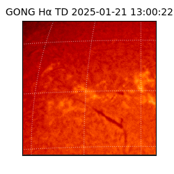 gong - 2025-01-21T13:00:22