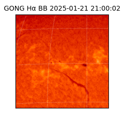 gong - 2025-01-21T21:00:02