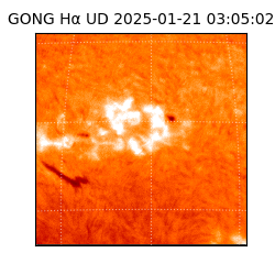 gong - 2025-01-21T03:05:02