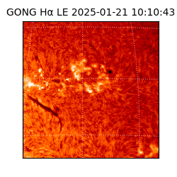 gong - 2025-01-21T10:10:43