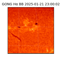 gong - 2025-01-21T23:00:02