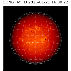 gong - 2025-01-21T16:00:22