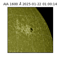 saia - 2025-01-22T01:00:14.126000