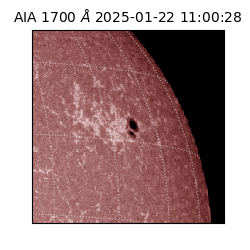 saia - 2025-01-22T11:00:28.749000