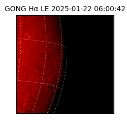 gong - 2025-01-22T06:00:42