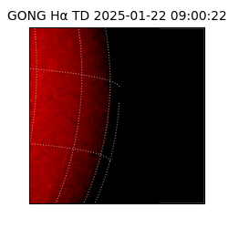 gong - 2025-01-22T09:00:22
