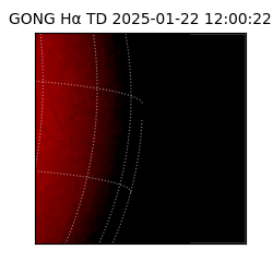gong - 2025-01-22T12:00:22