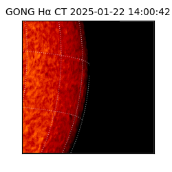 gong - 2025-01-22T14:00:42