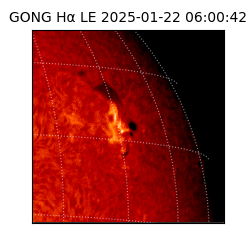 gong - 2025-01-22T06:00:42