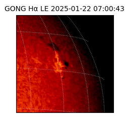 gong - 2025-01-22T07:00:43