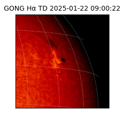 gong - 2025-01-22T09:00:22