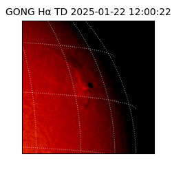 gong - 2025-01-22T12:00:22