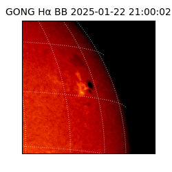 gong - 2025-01-22T21:00:02