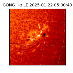 gong - 2025-01-22T05:00:43
