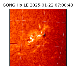 gong - 2025-01-22T07:00:43