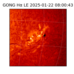 gong - 2025-01-22T08:00:43