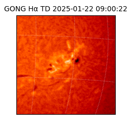 gong - 2025-01-22T09:00:22