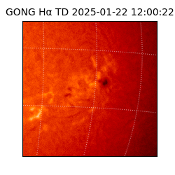 gong - 2025-01-22T12:00:22