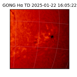 gong - 2025-01-22T16:05:22