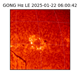 gong - 2025-01-22T06:00:42