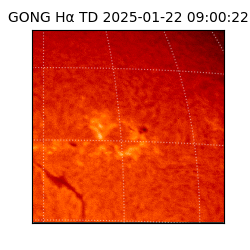 gong - 2025-01-22T09:00:22