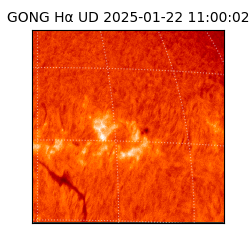 gong - 2025-01-22T11:00:02