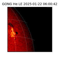 gong - 2025-01-22T06:00:42