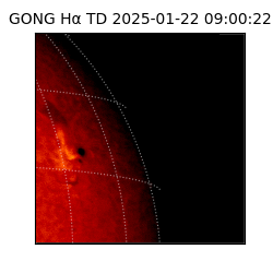 gong - 2025-01-22T09:00:22