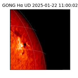 gong - 2025-01-22T11:00:02