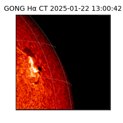 gong - 2025-01-22T13:00:42