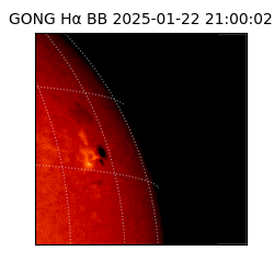 gong - 2025-01-22T21:00:02
