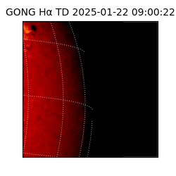 gong - 2025-01-22T09:00:22
