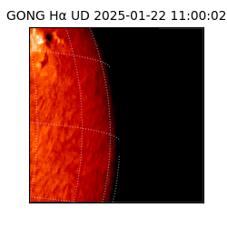 gong - 2025-01-22T11:00:02