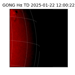 gong - 2025-01-22T12:00:22