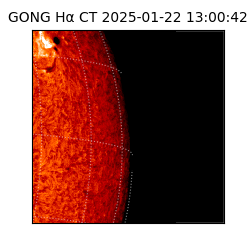gong - 2025-01-22T13:00:42