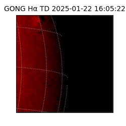 gong - 2025-01-22T16:05:22