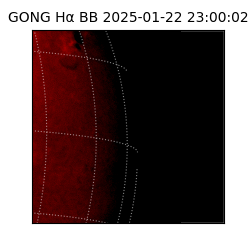 gong - 2025-01-22T23:00:02