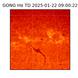 gong - 2025-01-22T09:00:22