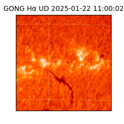 gong - 2025-01-22T11:00:02