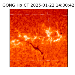gong - 2025-01-22T14:00:42
