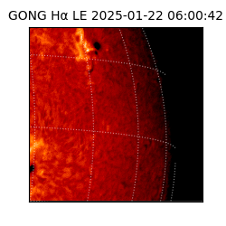 gong - 2025-01-22T06:00:42