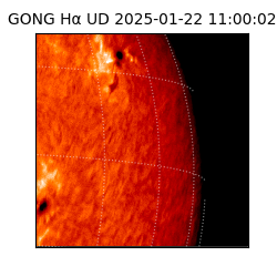 gong - 2025-01-22T11:00:02