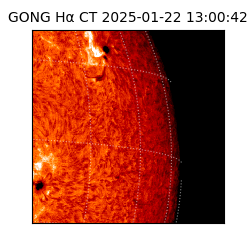 gong - 2025-01-22T13:00:42