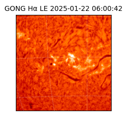 gong - 2025-01-22T06:00:42