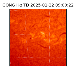 gong - 2025-01-22T09:00:22