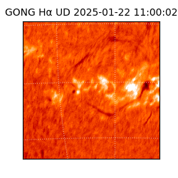 gong - 2025-01-22T11:00:02