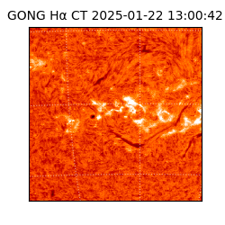 gong - 2025-01-22T13:00:42