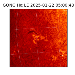 gong - 2025-01-22T05:00:43