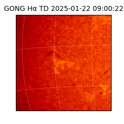 gong - 2025-01-22T09:00:22