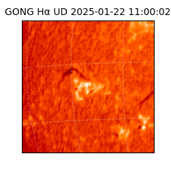 gong - 2025-01-22T11:00:02